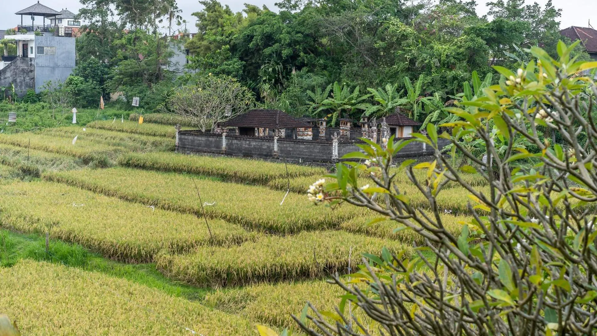 Villa Sunsara 4 - Enchanting 4Br Villa In A Great Location Canggu
